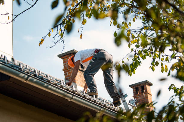 Best Emergency Roof Repair  in Mattoon, IL
