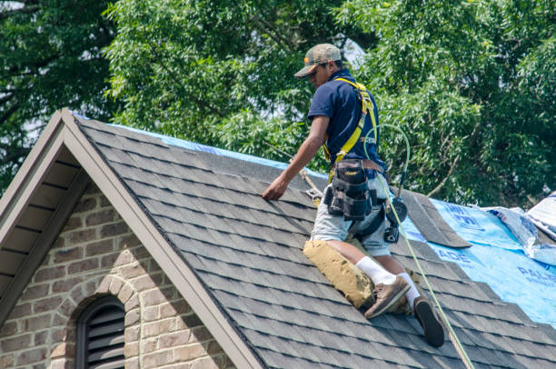 Roof Waterproofing Services in Mattoon, IL